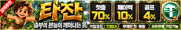 타잔 안전업체